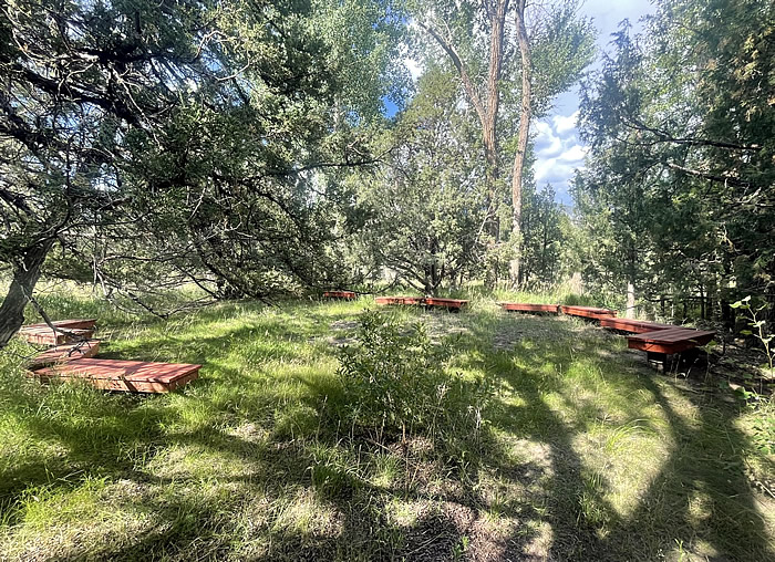 Forest Circle